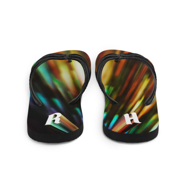 R H Flip-Flops - Image 4