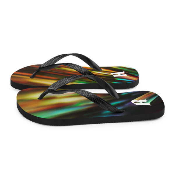 R H Flip-Flops - Image 6