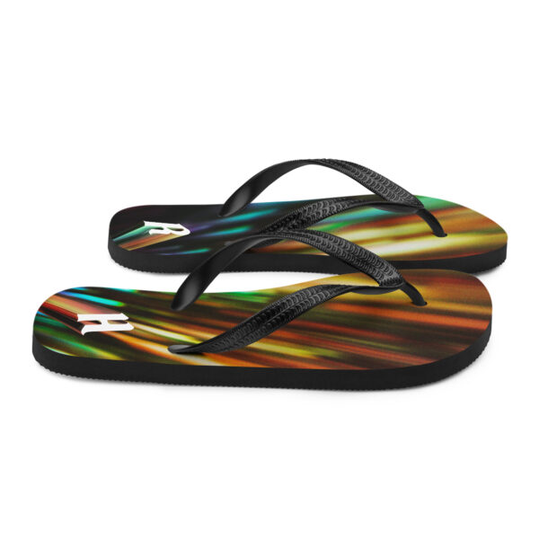 R H Flip-Flops - Image 7